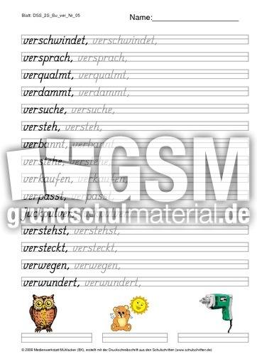 DSS_2S_Bu_ver_Nr_05.pdf